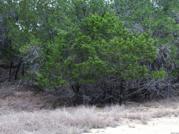 169 RED BLUFF DR., Pipe Creek, TX 78063