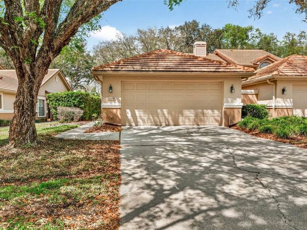 17550 FAIRMEADOW DRIVE , TAMPA, FL 33647