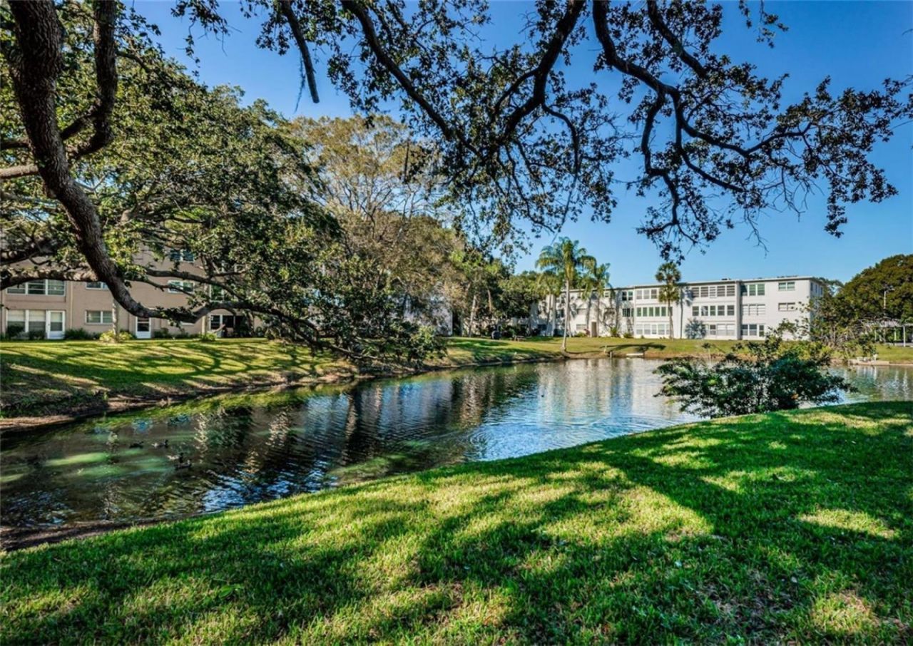 946 Virginia Street , Unit 104- J, Dunedin, FL 34698 Photo