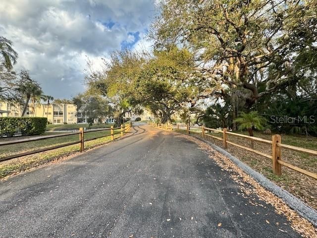 946 Virginia Street , Unit 104- J, Dunedin, FL 34698 Photo