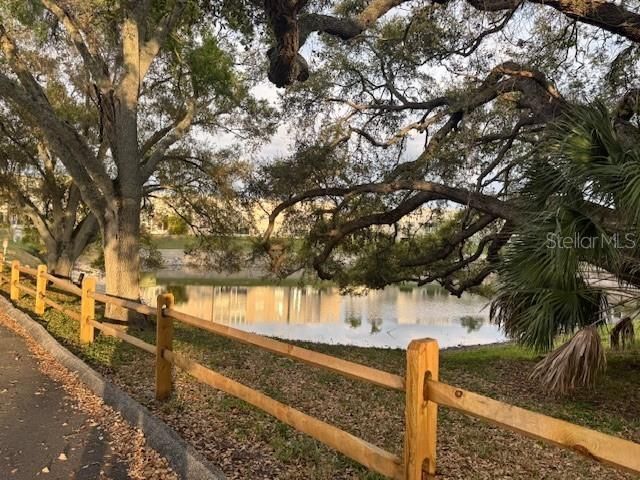 946 Virginia Street , Unit 104- J, Dunedin, FL 34698 Photo