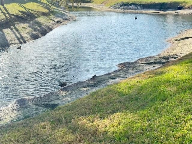 946 Virginia Street , Unit 104- J, Dunedin, FL 34698 Photo