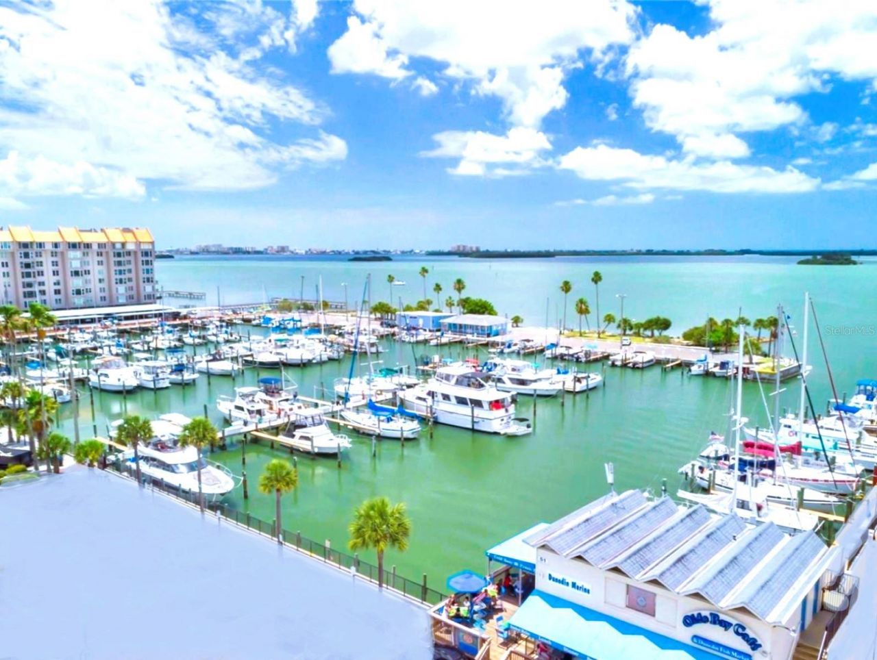 946 Virginia Street , Unit 104- J, Dunedin, FL 34698 Photo