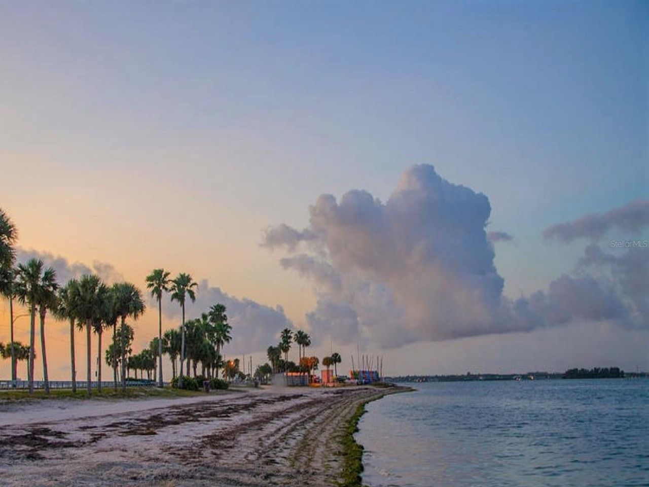 946 Virginia Street , Unit 104- J, Dunedin, FL 34698 Photo