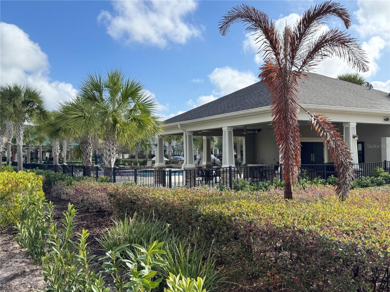 8973 Matriarca Alley , Windermere, FL 34786 Photo