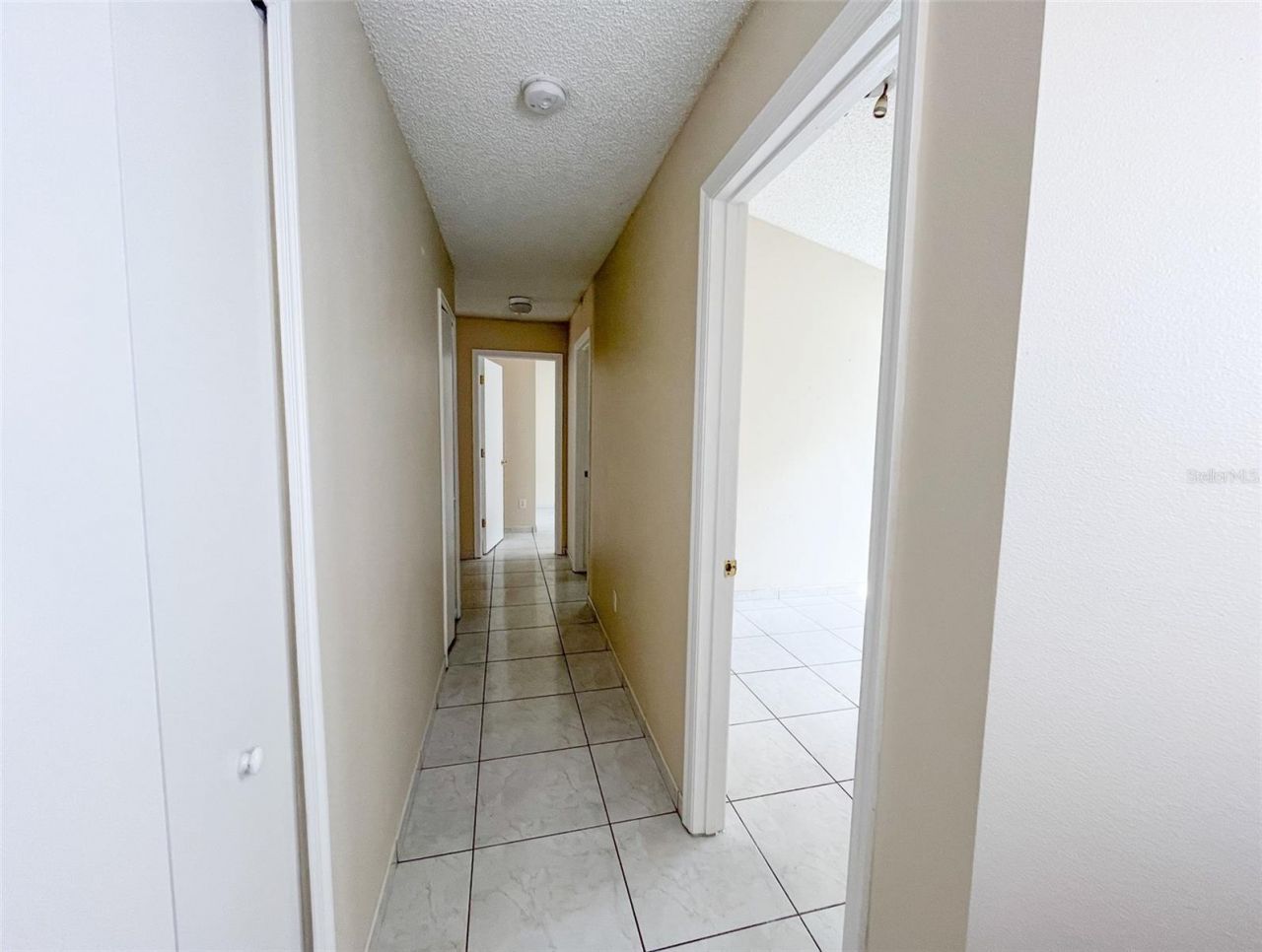 1902 Palmetto Pine Lane, Orlando, FL 32826 Photo