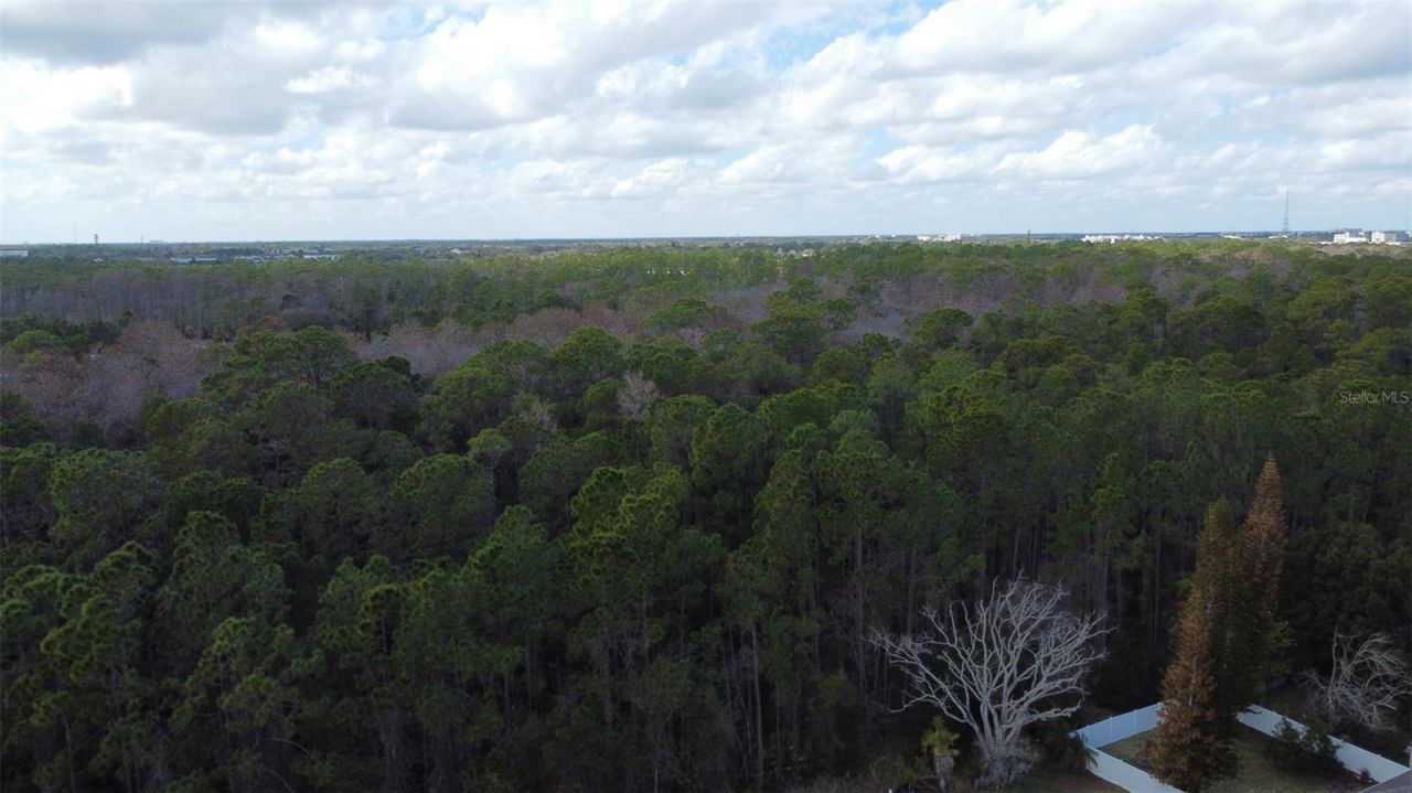 1902 Palmetto Pine Lane , Orlando, FL 32826 Photo