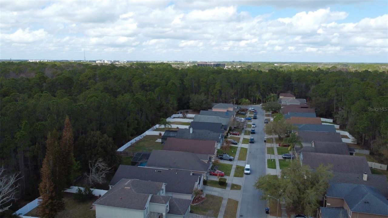 1902 Palmetto Pine Lane, Orlando, FL 32826 Photo