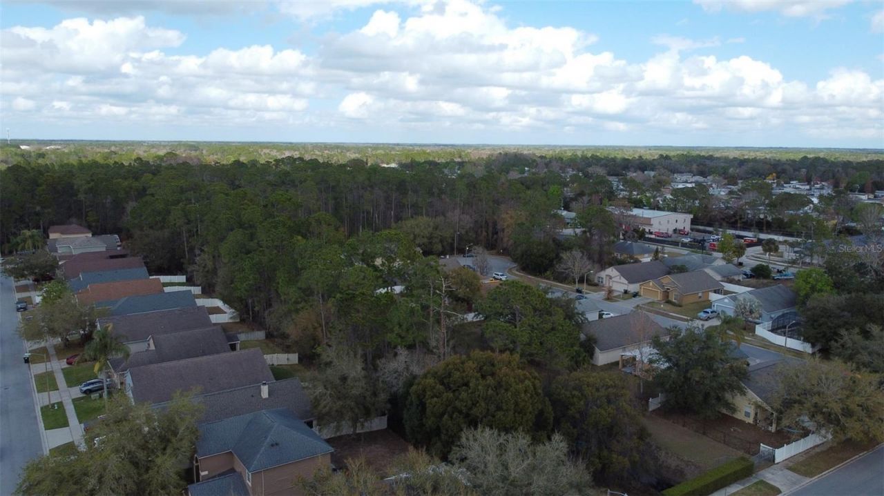 1902 Palmetto Pine Lane, Orlando, FL 32826 Photo