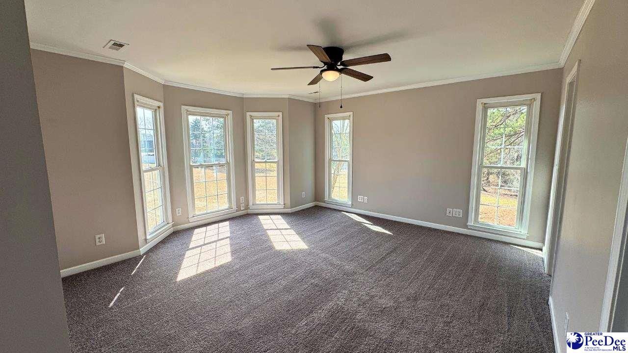 964 Celtic Ln. Photo 20