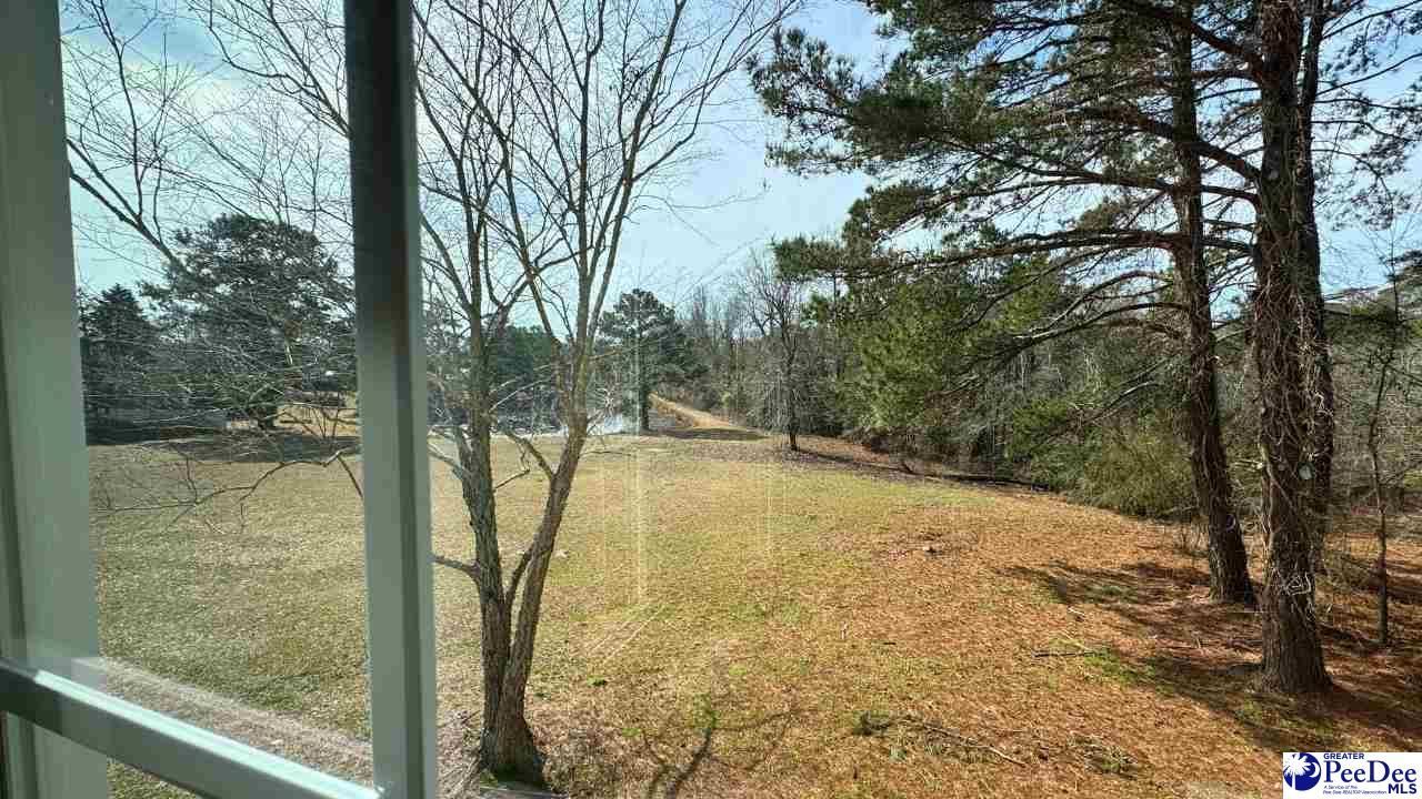 964 Celtic Ln. Photo 22