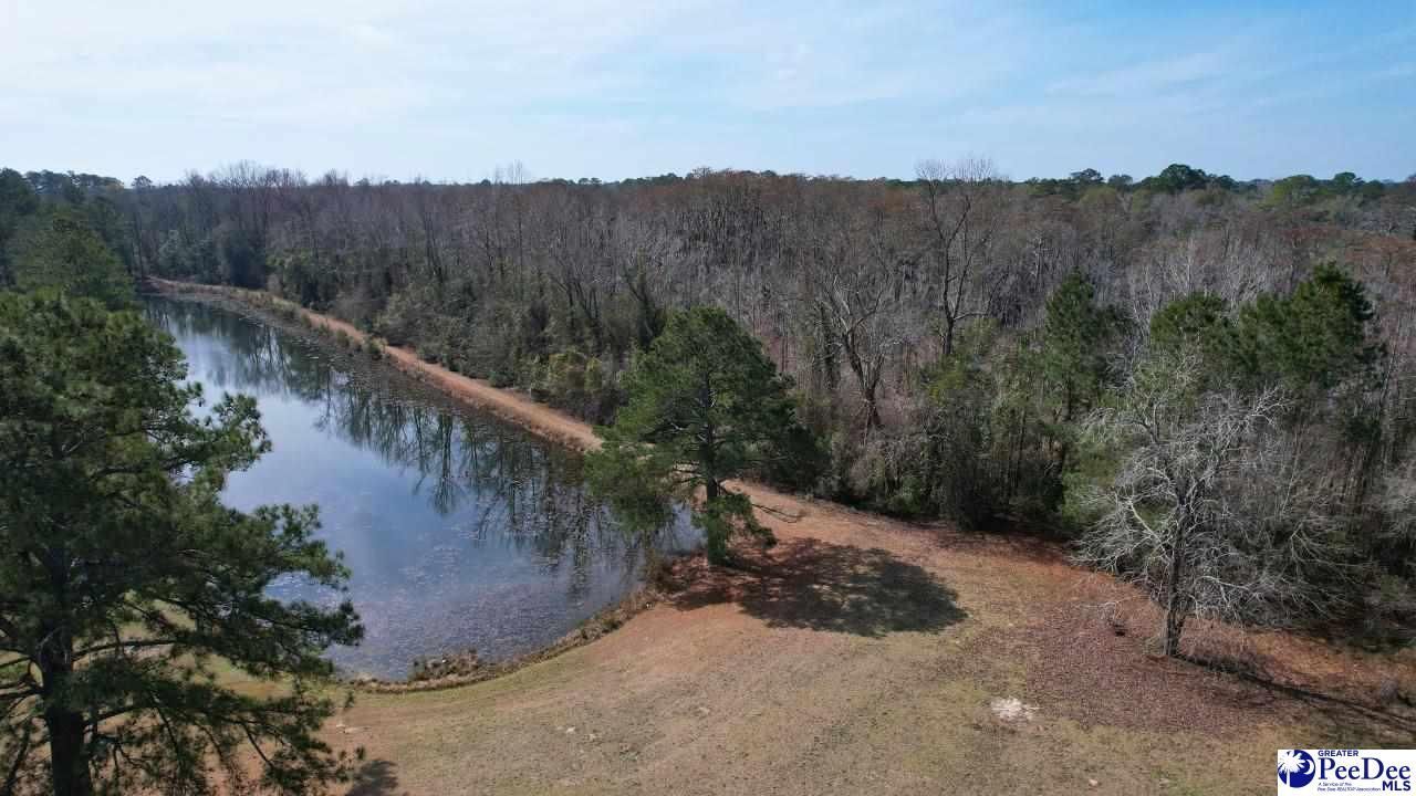 964 Celtic Ln. Photo 29