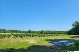 0 Guess Road photo 4