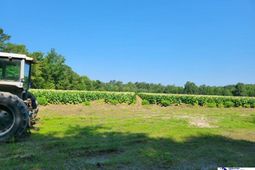 0 Guess Road photo 4