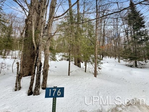 176 E Lake Emily Road, Bates Twp, MI 49920