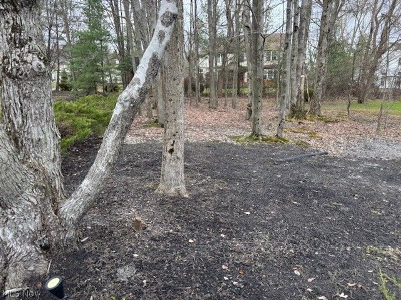 1045 Orchard Lane , Broadview Heights, OH 44147 Photo 8