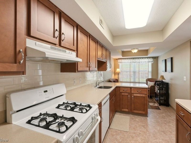 8613 Larkspur Lane , Macedonia, OH 44056 Photo 12