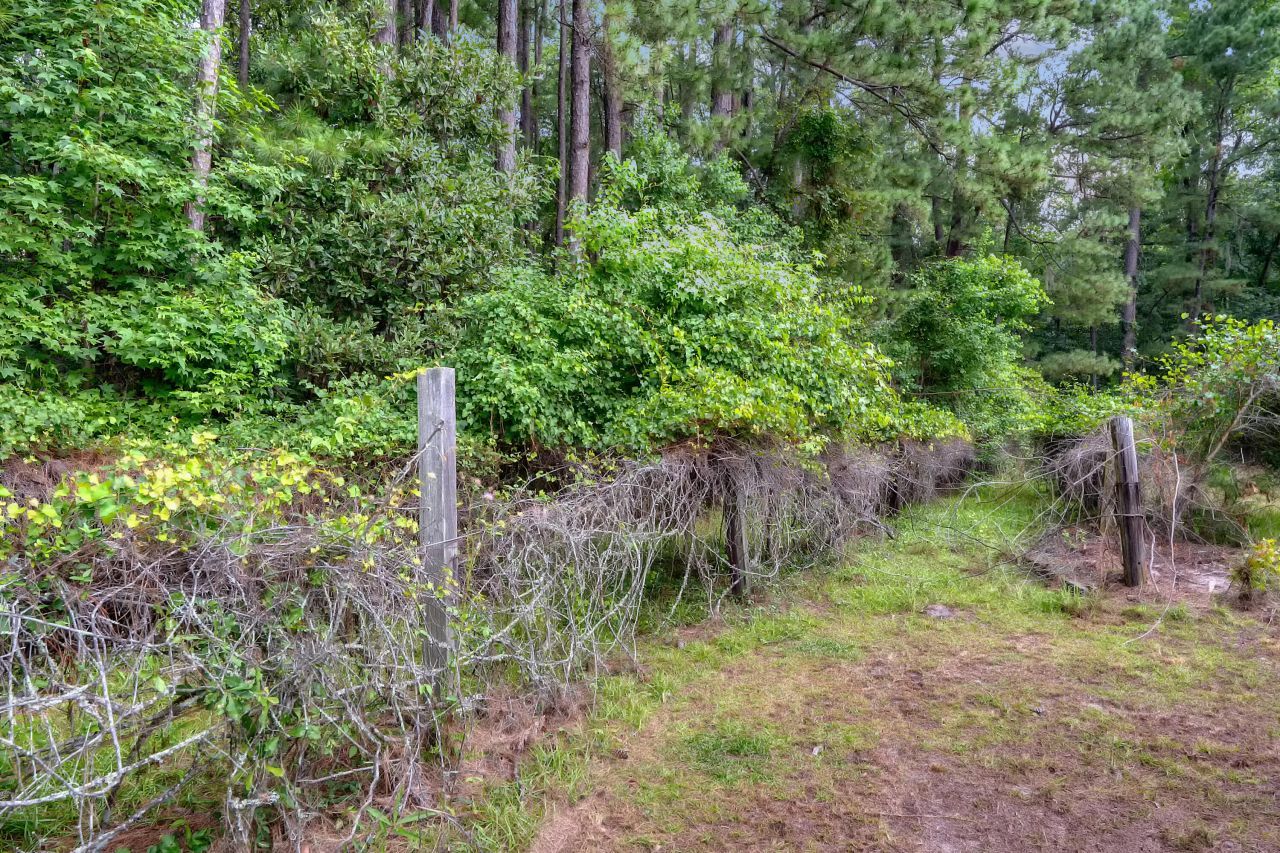 421 Mallard Lake Road Photo 36