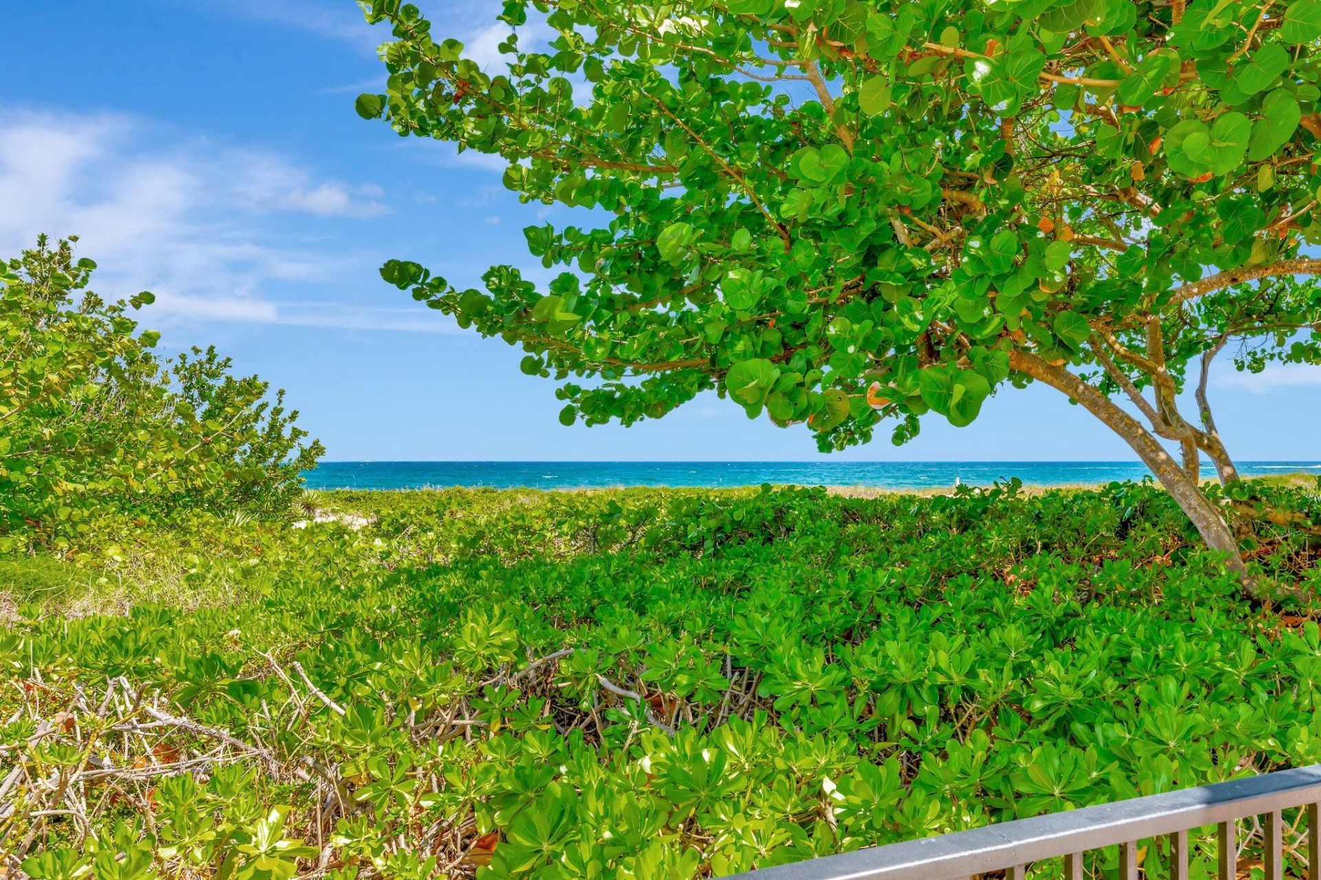 1900 S Ocean Boulevard, Unit 8g, Lauderdale by the Sea, FL 33062 Photo