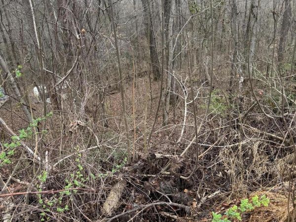 Lot 65 Grand View Way, Cosby, TN 37722