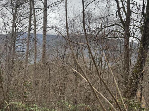 2190 StoneView Way, Cosby, TN 37722