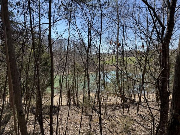 2327 Boat Dock Road, Talbott, TN 37877