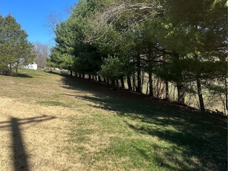 508 E Marietta Street, Woodsfield, OH 43793 Photo 41