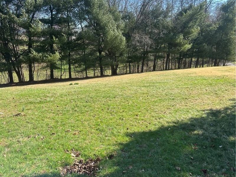 508 E Marietta Street, Woodsfield, OH 43793 Photo 47