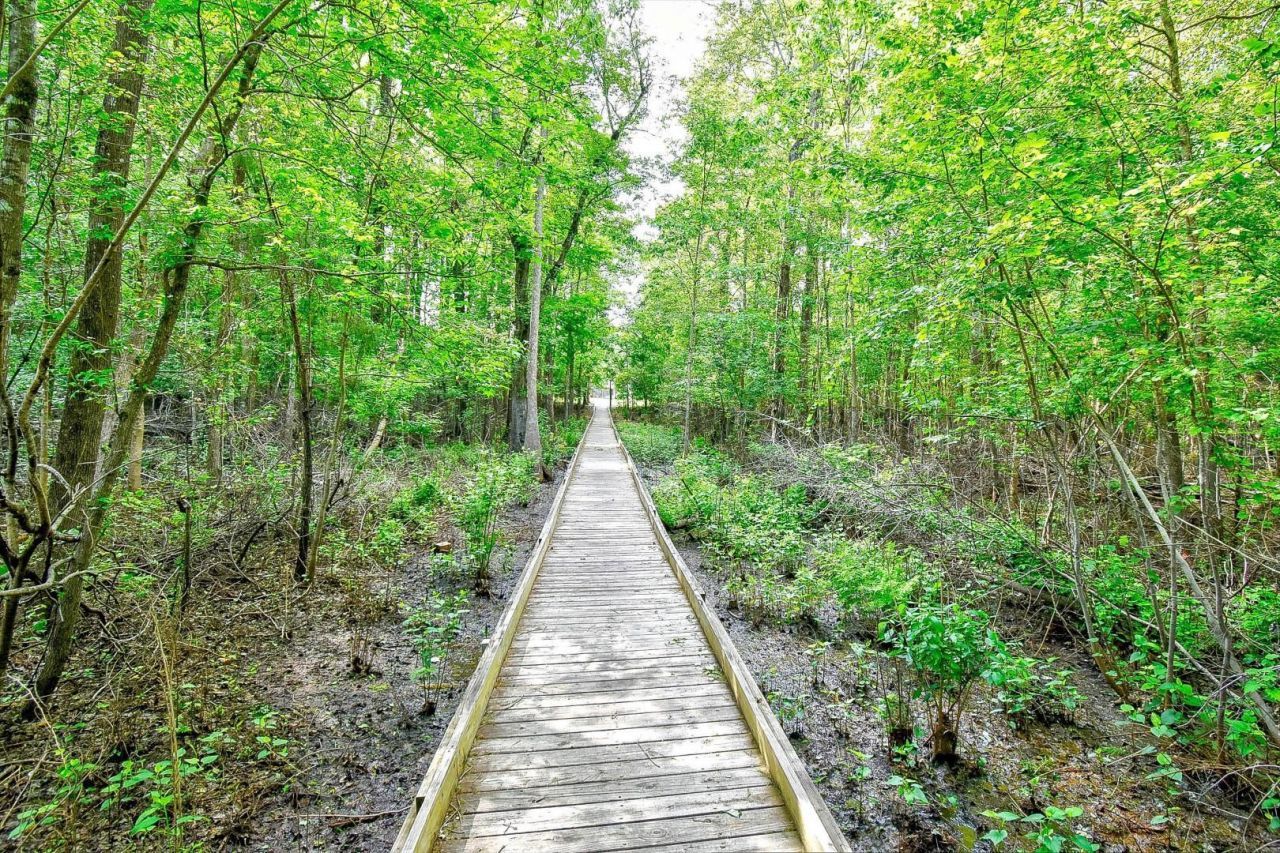 1412 Reid Ct.  Photo 36