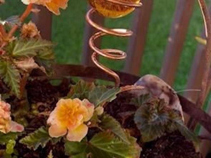 11392 Hollow Oak, Miami Twp, OH 45342 Photo 16