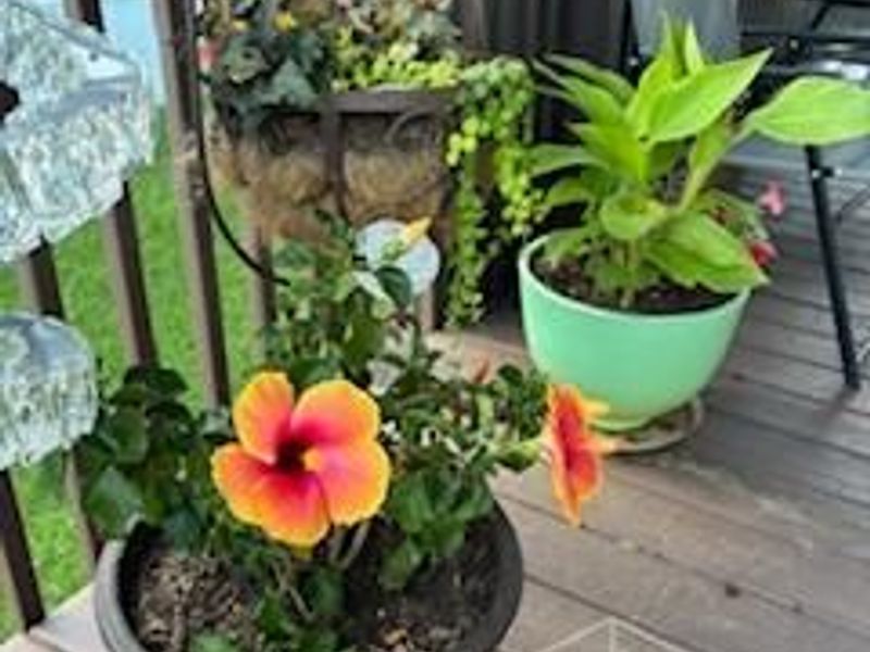 11392 Hollow Oak, Miami Twp, OH 45342 Photo 9