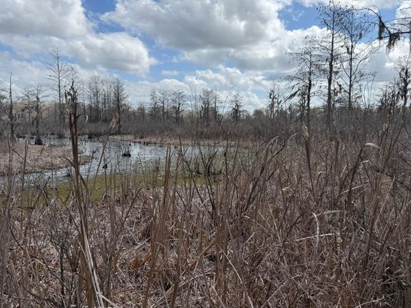 000 Neel Road , Grand Ridge, FL 32442