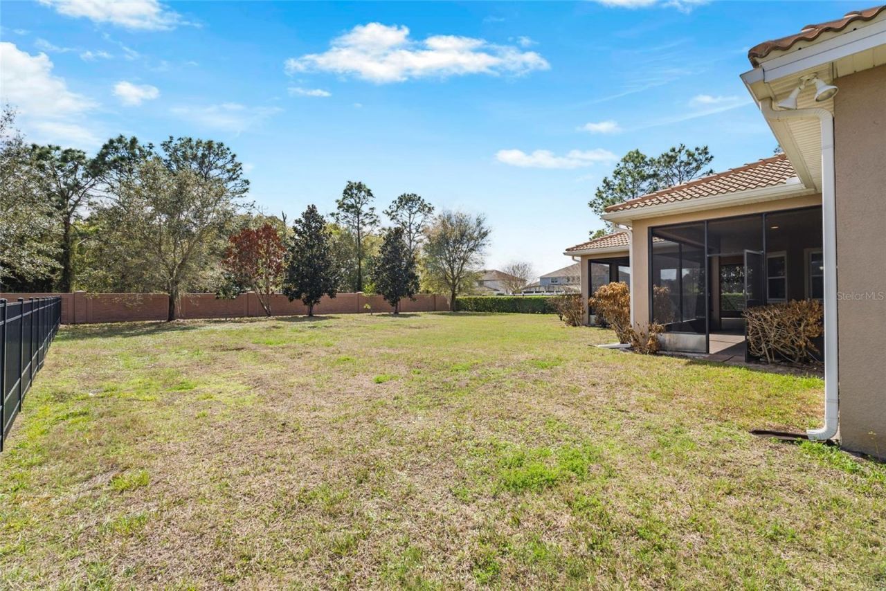 18002 Bellezza Drive, Orlando, FL 32820 Photo