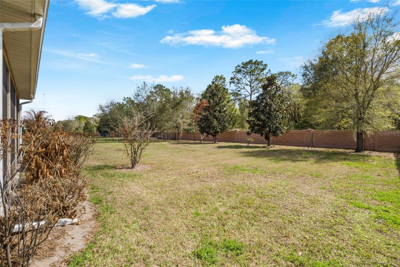 18002 Bellezza Drive, Orlando, FL 32820 Photo