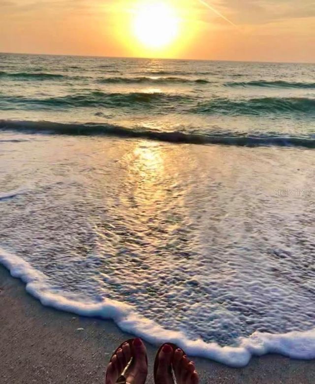 6372 Palma Del Mar Boulevard S, Unit 304, Saint Petersburg, FL 33715 Photo