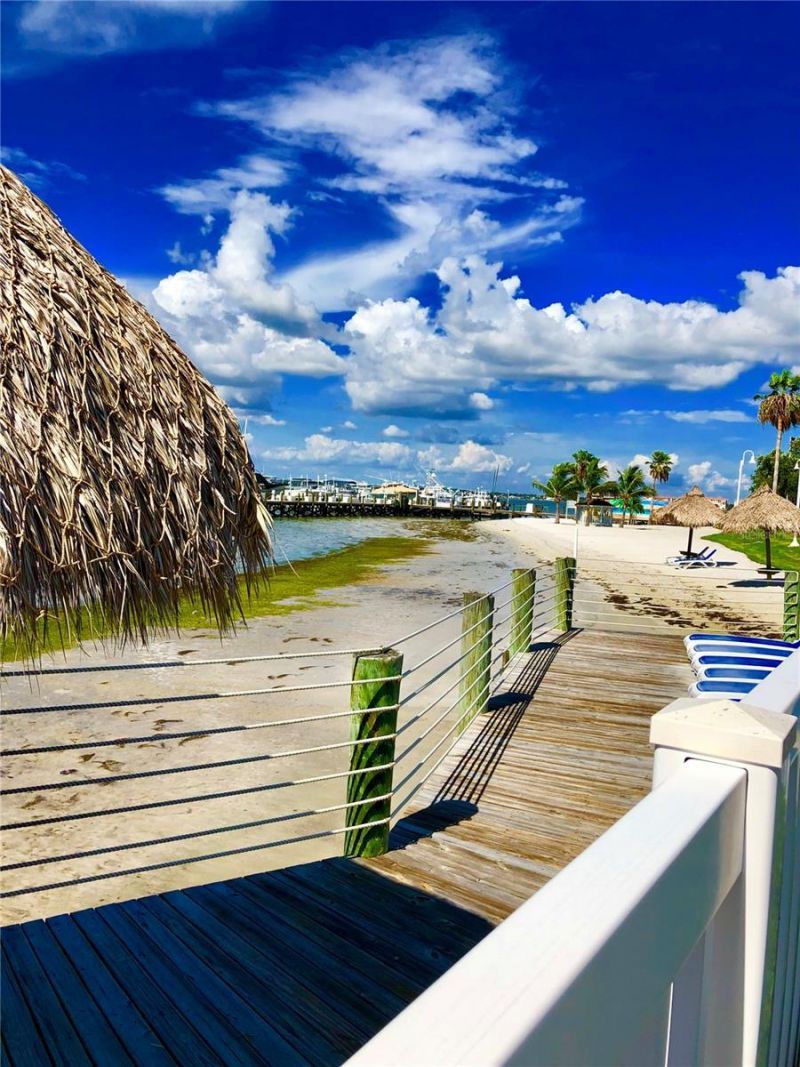 6372 Palma Del Mar Boulevard S, Unit 304, Saint Petersburg, FL 33715 Photo