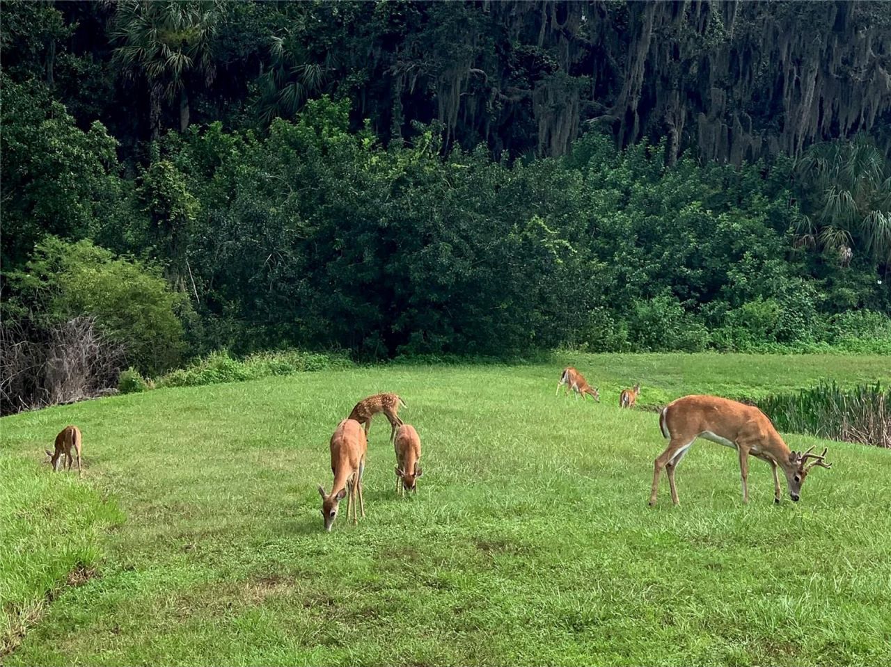 406 Petrel Trail , Bradenton, FL 34212 Photo