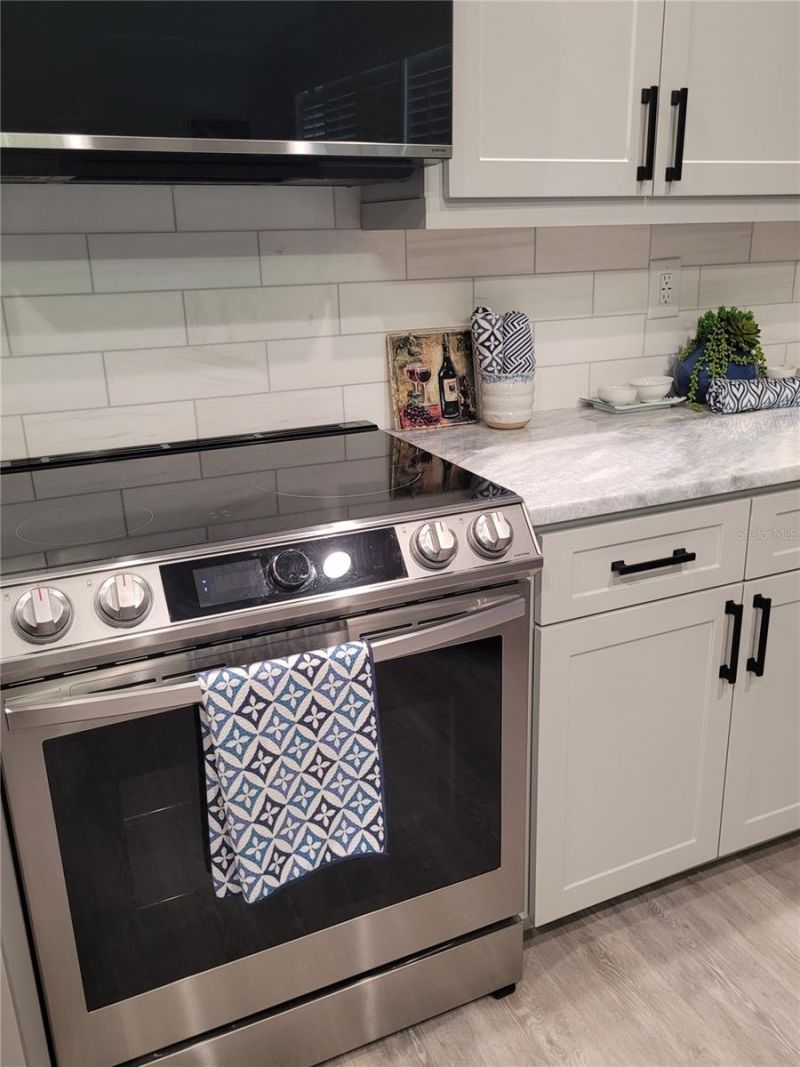 21205 Calle Rosa Dr, Unit 10, Land O Lakes, FL 34637 Photo