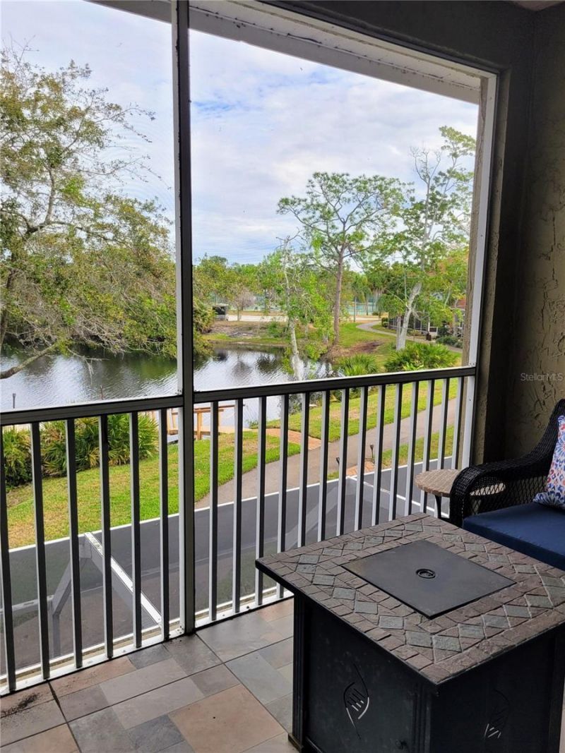 21205 Calle Rosa Dr, Unit 10, Land O Lakes, FL 34637 Photo