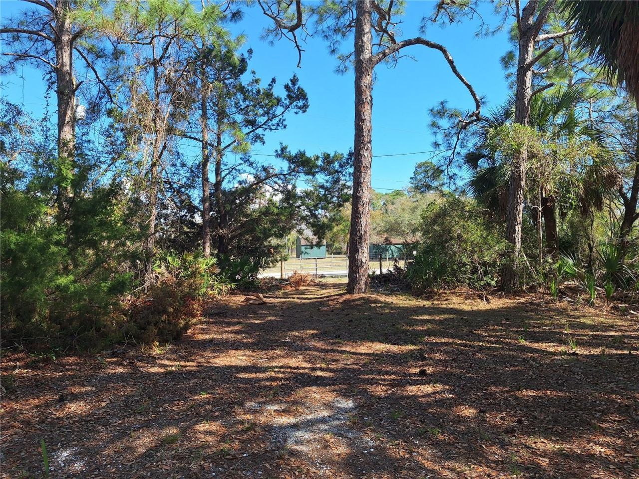 Tbd 000 SW 123rd Terrace , Cedar Key, FL 32625 Photo