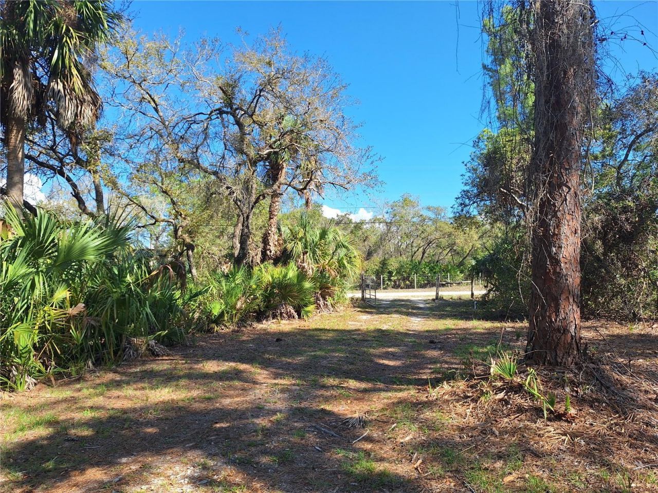 Tbd 000 SW 123rd Terrace , Cedar Key, FL 32625 Photo