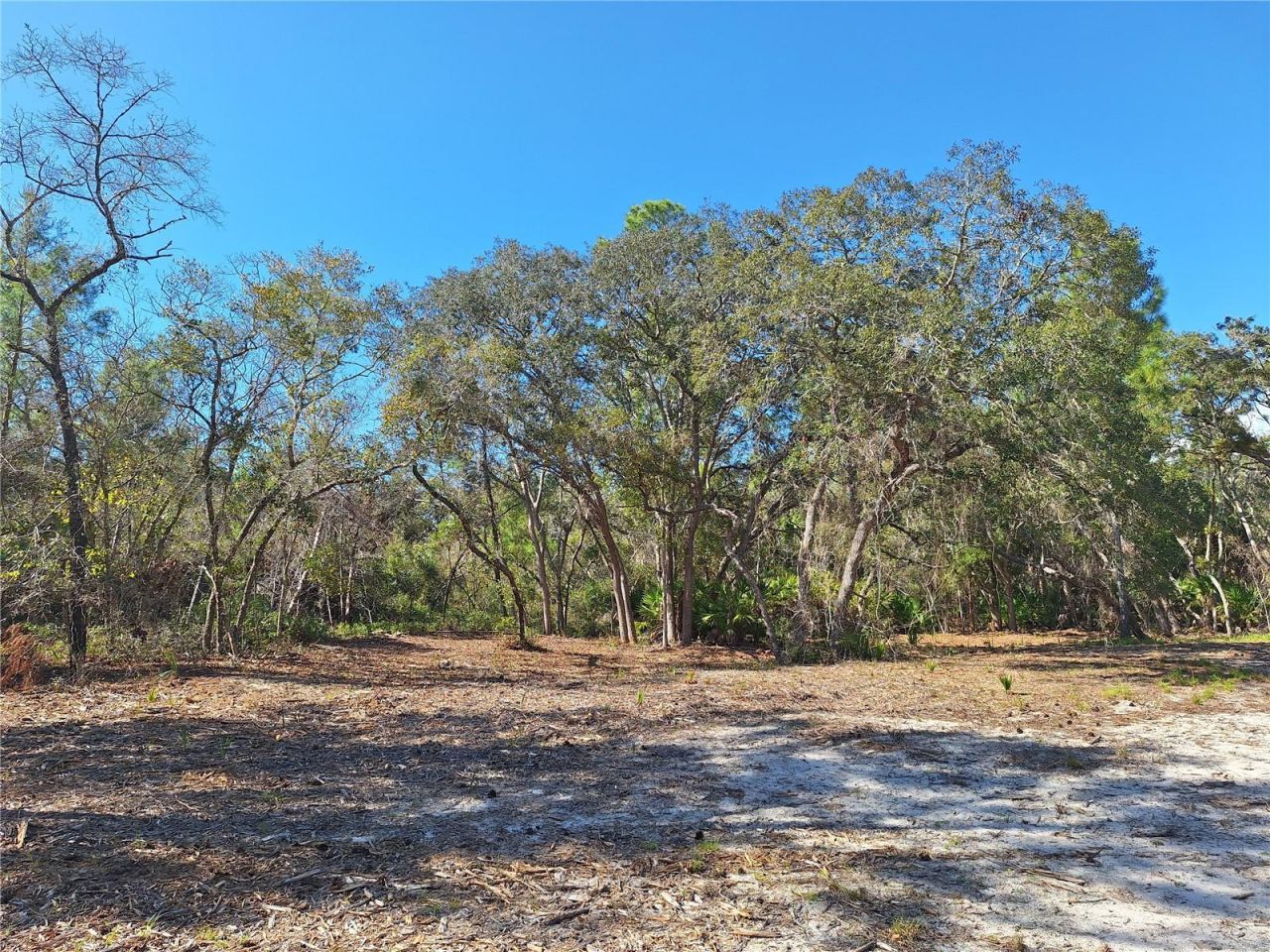 Tbd 000 SW 123rd Terrace , Cedar Key, FL 32625 Photo