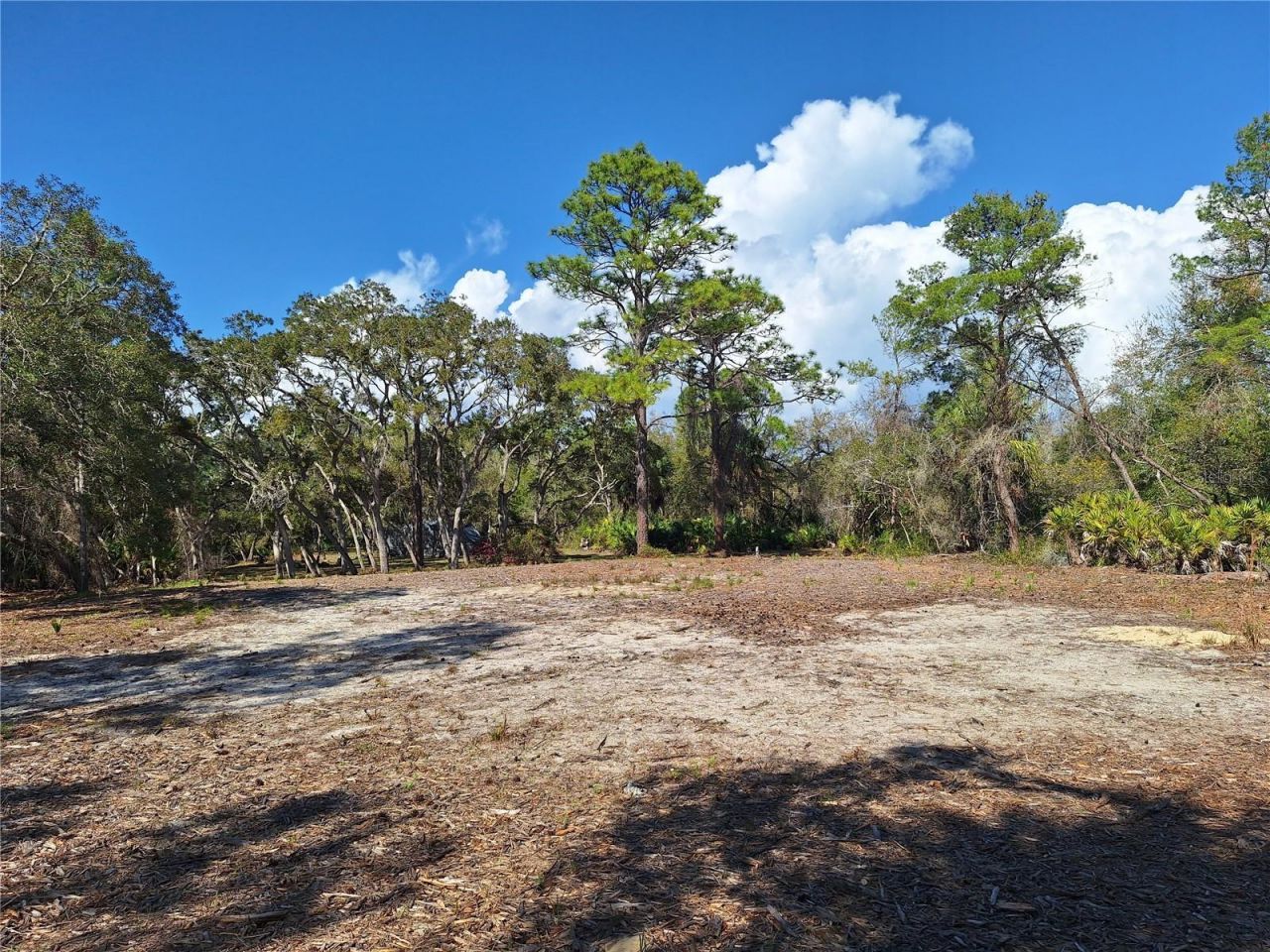 Tbd 000 SW 123rd Terrace , Cedar Key, FL 32625 Photo