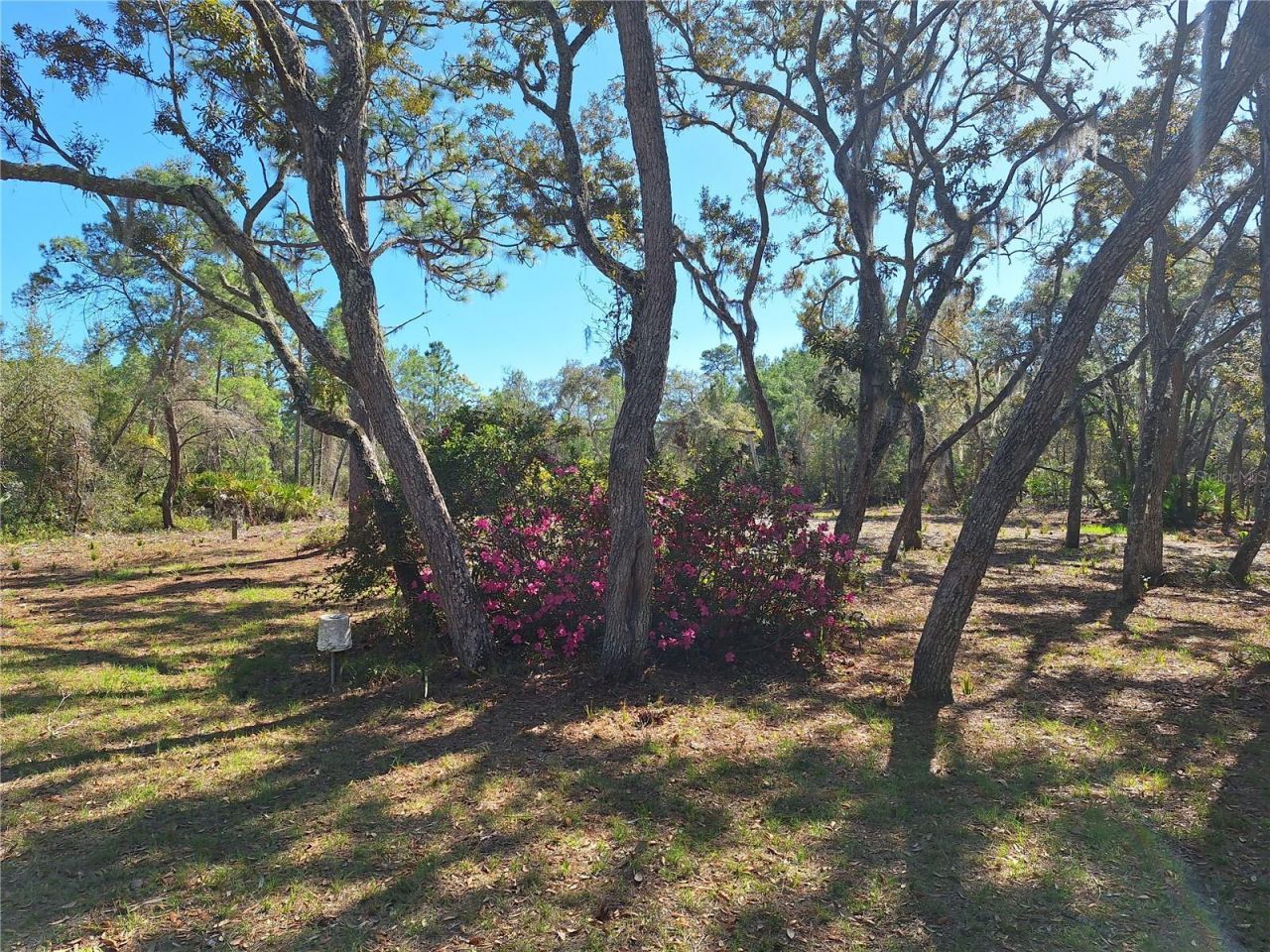 Tbd 000 SW 123rd Terrace , Cedar Key, FL 32625 Photo