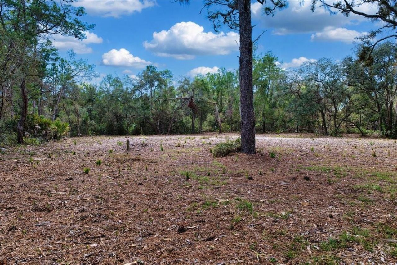 Tbd 000 SW 123rd Terrace , Cedar Key, FL 32625 Photo