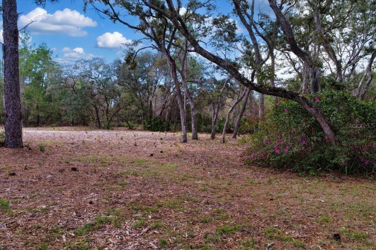 Tbd 000 SW 123rd Terrace , Cedar Key, FL 32625 Photo