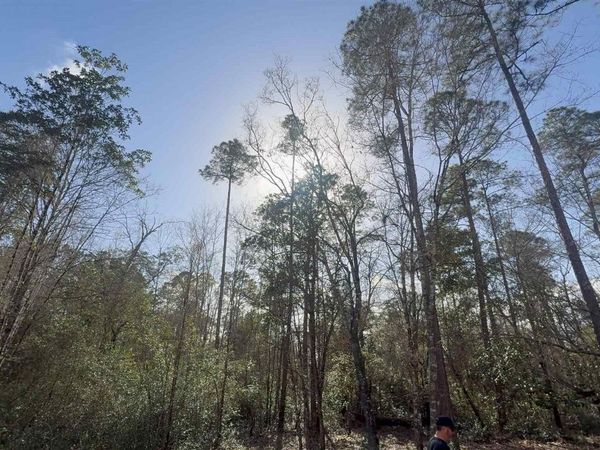 00 Native Creek Rd, Milton, FL 32571