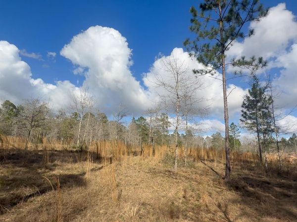 00 Native Creek Road, Milton, FL 32571