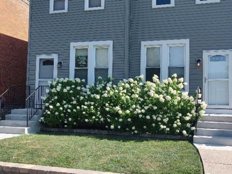 1117 Franklin Avenue , Unit 1119, Columbus, OH 43205 Photo 31