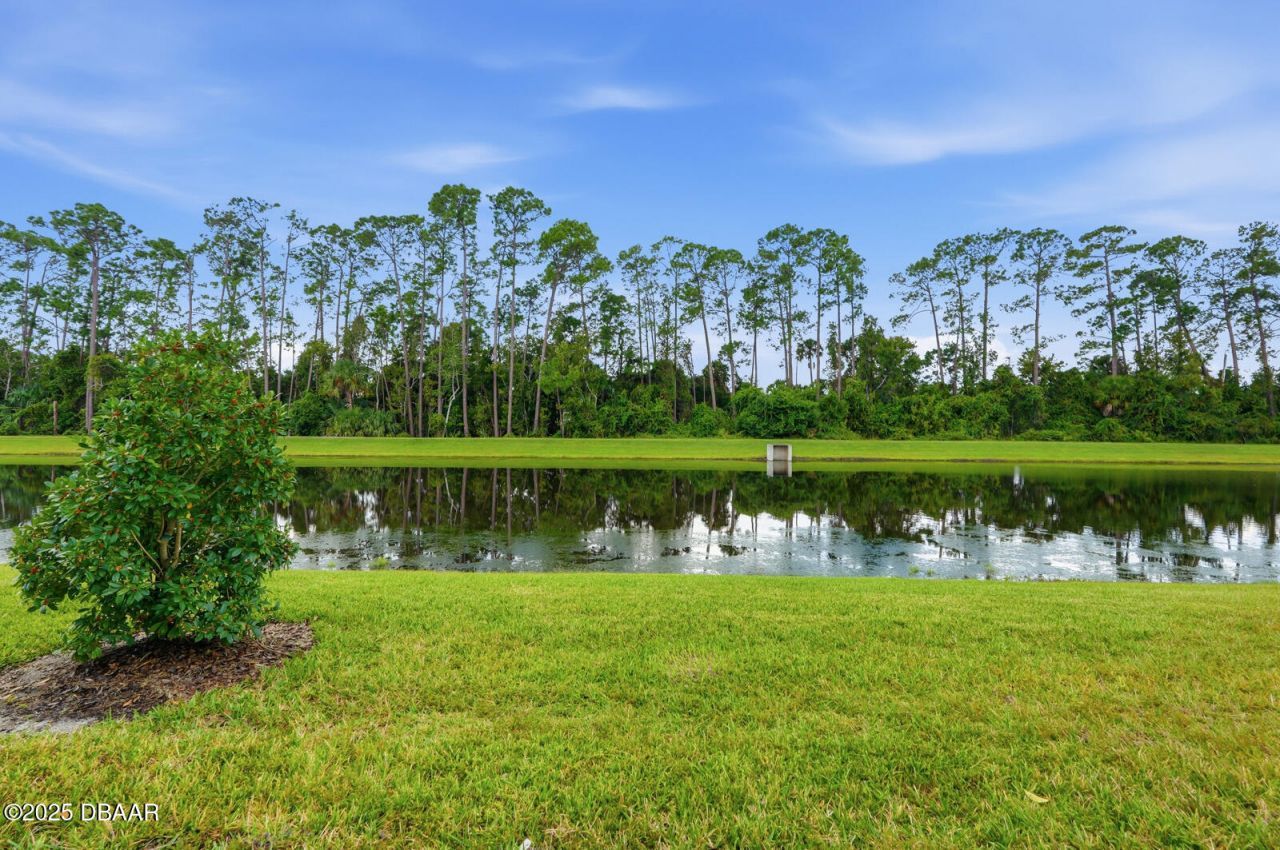 60 Bella Lago Circle, Port Orange, FL 32129 Photo